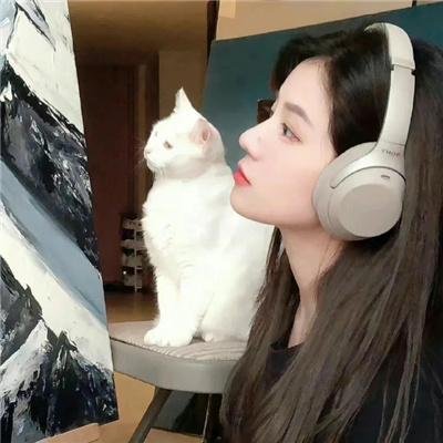 不了情