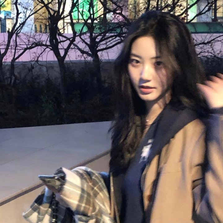 佩尼特环游世界的爱